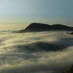 Approaching Peak Proprietary